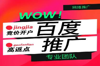 竞价SEM策略在金融行业的成功实践